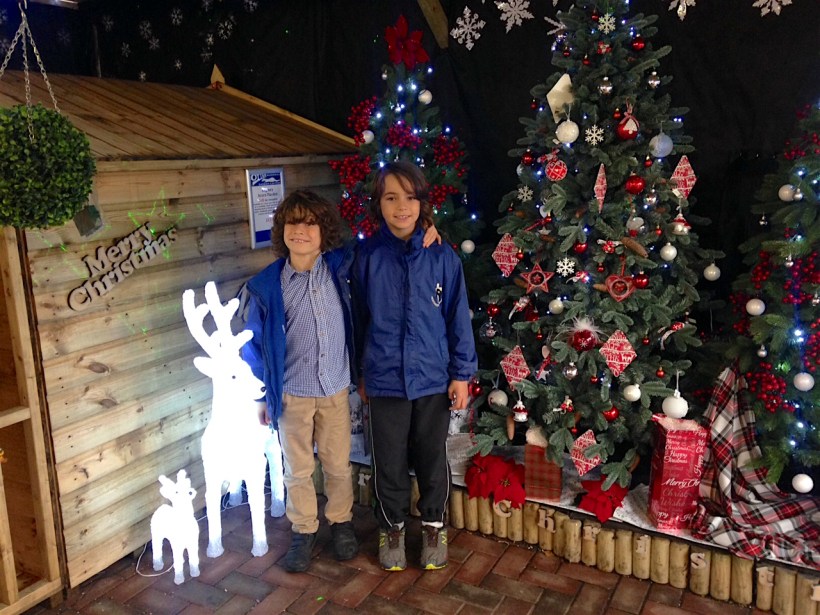 Christmas at the garden centre