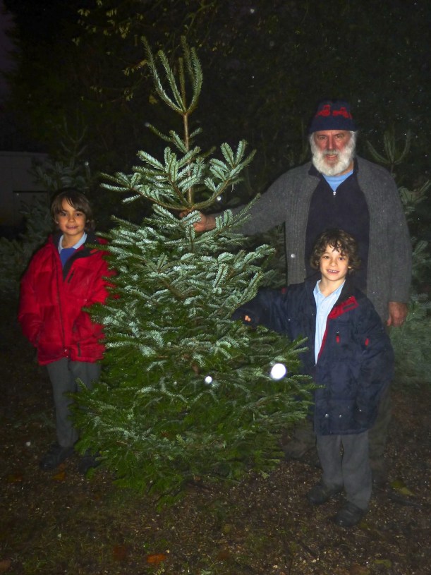 Christmas tree shopping