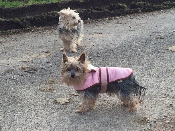 635A3120-AECB-477A-A43A-560D5EDEDA0D